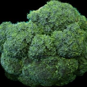 Gallagher's Broccoli 500g