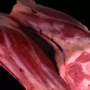 Gallagher's Spring Lamb Shank