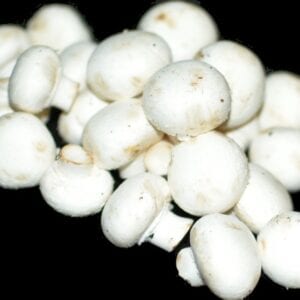 Gallagher's Mushrooms 500g