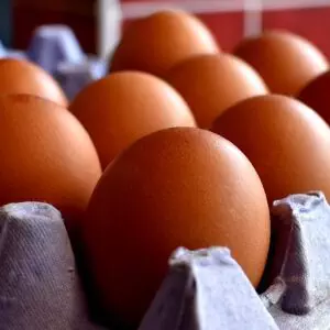 Gallagher's Brown Eggs X 6