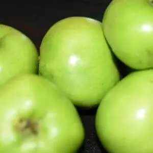 Gallagher's Cooking Apple
