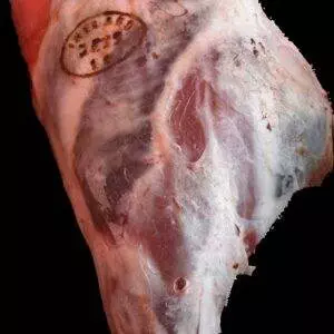 Gallagher's Leg of Lamb on the Bone