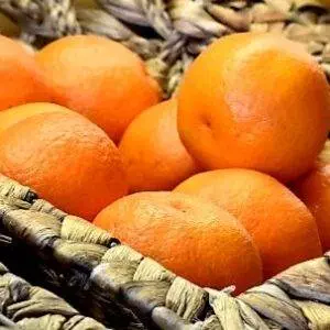 Gallagher's Orange