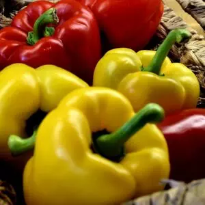 Gallagher's Bell Pepper