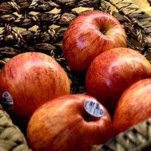 Gallagher's Red Apple