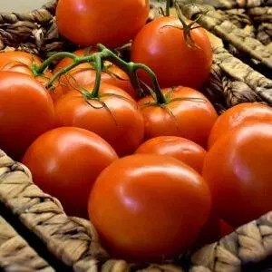 Gallagher's Medium Sized Tomatos 500g