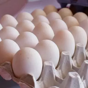 Gallagher's Duck Eggs X 6