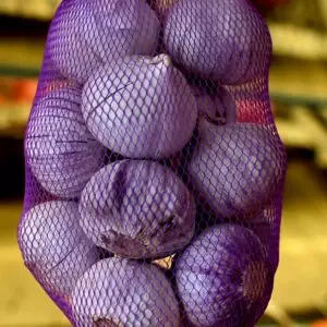 Gallagher's Mini Garlic Pack