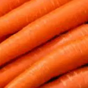 Gallagher's Carrots 500g