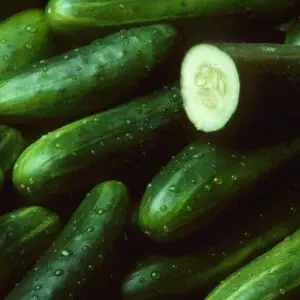 Gallagher's Cucumber