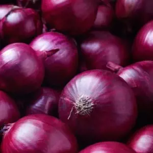 Gallagher's Red Onion