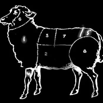 Lamb-Cuts-2-932×1024 Lamb-Cuts-2-932x1024
